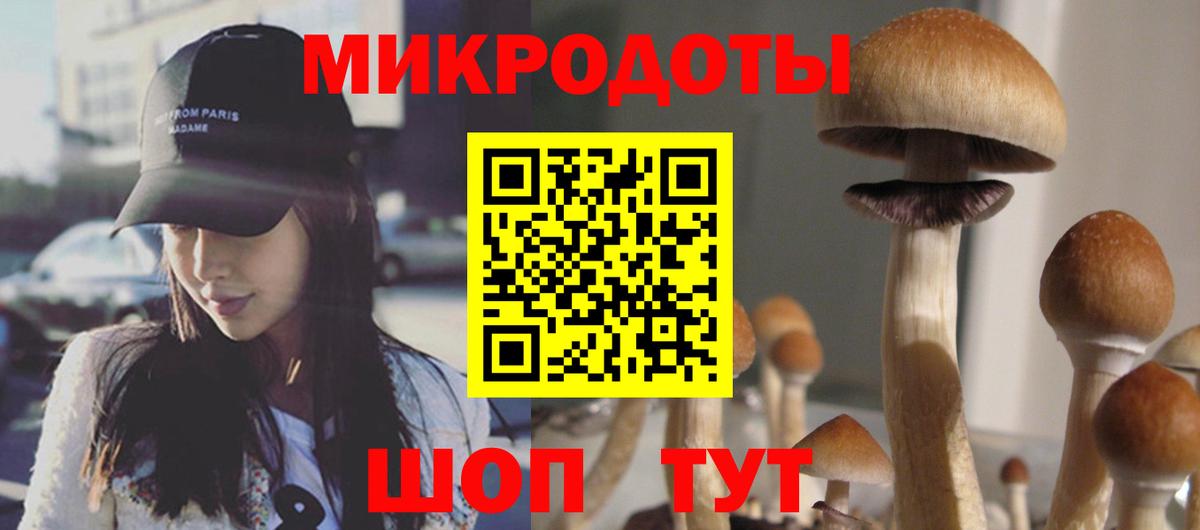 Галлюциногенные грибы Psilocybe  Вход с VPN  Псилоцибиновые грибы Cubensis  Кузнецк 
